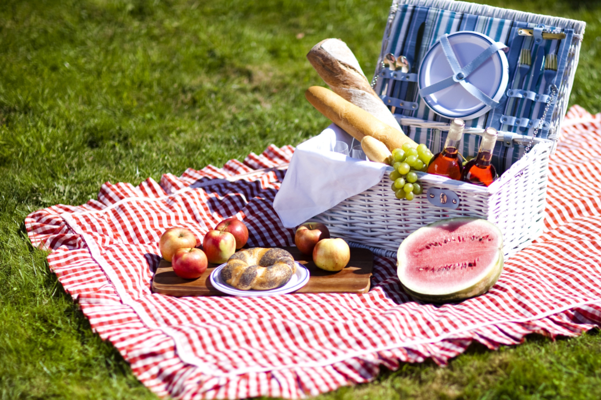 picnic1200x800