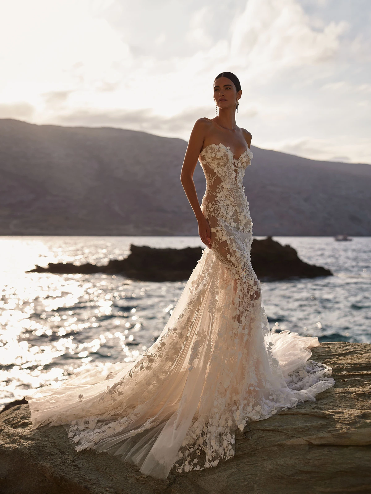 5650_Rosetta copia 5650_Rosetta copia